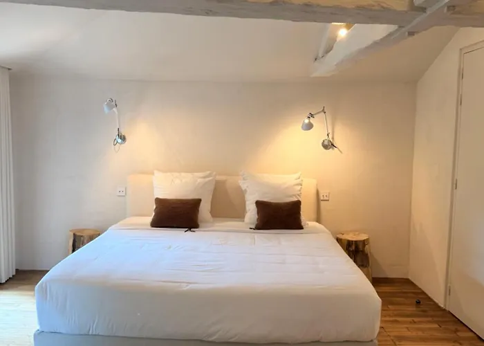 Maison Fontbelle By Otto 3* Angoulême